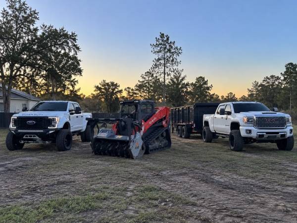 Tree service/Brush Clearing 1