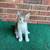 Kittens! 3 thumbnail