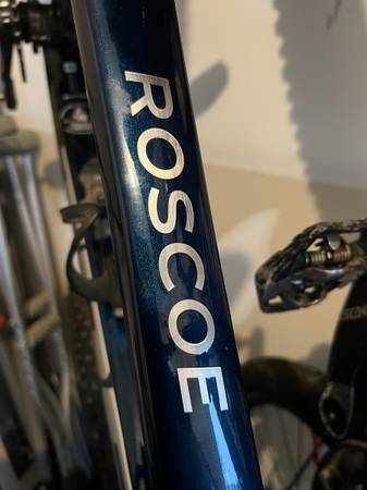 2024 Trek Roscoe 8 1