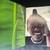 Black Ladies by Uwe Ommer Taschen Publication 4 thumbnail