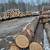 Hemlock Lumber, Beams and Timbers Live Edge Slabs 13 thumbnail
