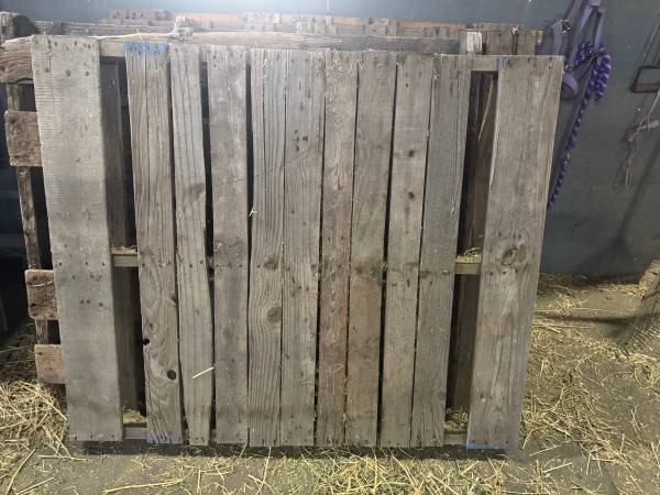Free Wooden Pallets 1