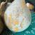 3 gourds bird houses garden decor craft supplies tree hanging home 12 thumbnail
