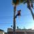 Tree climbing lessons 17 thumbnail