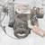 Kohler Engine 8hp? 10hp? 12hp? 3 thumbnail