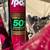 63cm TREK 560. Reynolds steel, iconic cast lug era, USA made. Gravel King 700x30 9 thumbnail