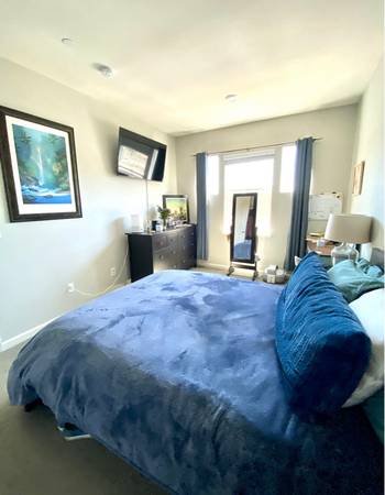 1 Private Room near Sonoma State University 1