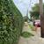FREE ESTIMATE LEAVES and MOWING SERVICE 8 thumbnail