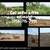 Forestry mulching/ Land Clearing (956)715-7991 2 thumbnail