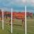 Premium Centaur HTP Fencing – Professionally Installed 10 thumbnail