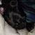 Pug/Frienchie 2 thumbnail
