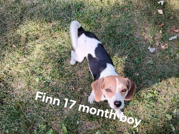 Can you help us please? (Elkhart)64035003801090122