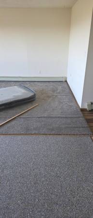Grey carpet 1