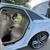 2015 Audi A6 quattro PREMIUM PLUS 3.0T SuperCharger *3 owners* 20 thumbnail