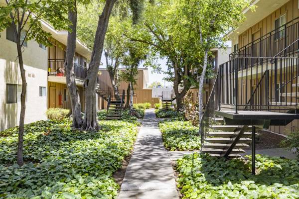 $2,375 / 1br - 585ft2 - Refrigeradores sin escarcha, Mantenimiento en el lugar, 1/hab (fremont / union city / newark)63682796561795122