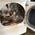 LG Gas Dryer 5 thumbnail