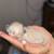 Himalayan/persian/tuxedo mix, kittens for sale 2 thumbnail