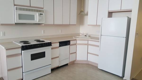 $1,100 / 1br - 617ft2 - 1400 SE Fancy Free Apt 211 (Pullman)63689257196931121