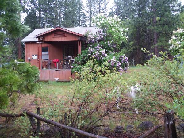 $48,000 / 1br - 400ft2 - Affordable cabin with land (Mcarthur)63972532717954120