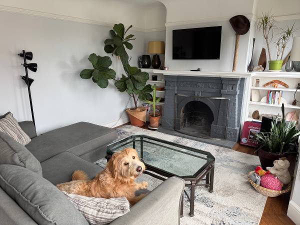 $1,650 / 4br - 2 Rooms available by USF (inner richmond)63994099929987121