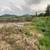 Minimalist Living on a Homestead North of Moscow 5 thumbnail