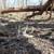 ALL YEAR ROUND HUNTING LEASE 4 thumbnail