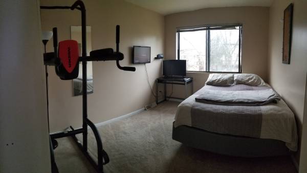 $545 / 6br - 2400ft2 - 1 bedroom 545/650mth + split utility (Warrenville/Naperville)63898599172483121