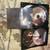 The Walking Dead complete full seasons 1-7 17 thumbnail