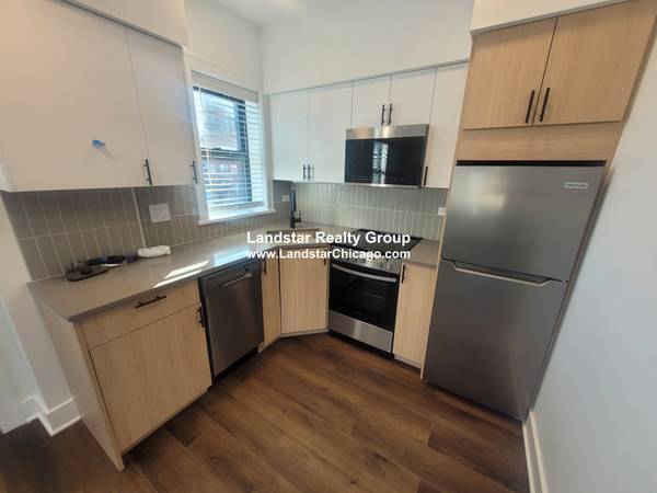EVANSTON 1BD IN-UNIT LAUNDRY NEW RENOVATED SS APPL A/C D/W DOG-CATS OK 1
