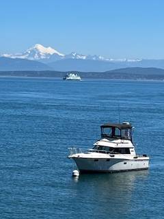 32' Carver Fly bridge - $19,000 (Marysville/Anacortes)63471361681155123