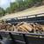 Firewood BBQ Stacked & Delivered OR Wood Yard September SALE!! Special 12 thumbnail