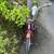 Kids schwinn 2 thumbnail