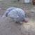 Down sizing farm 1 thumbnail