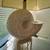 Nautilus Shell Shell floor lamp 1 thumbnail