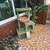 2) Cat Tree Tower House 1 thumbnail