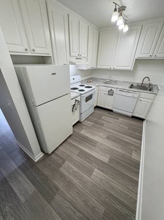 $1,350 / 2br - 1000ft2 - Dos habitaciones con cocina grande, balcón y despensa! (Hermitage/Donelson/Nashville)63904697493122121