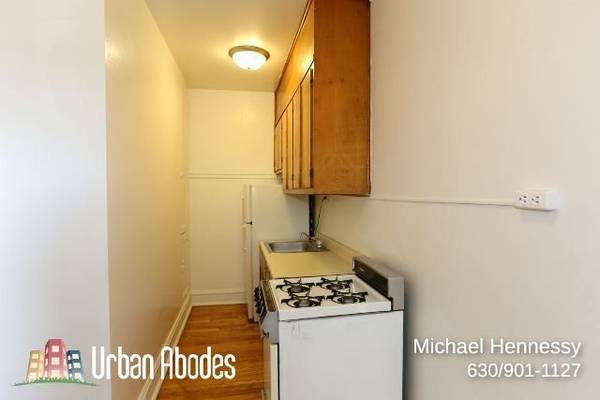 $1,250 / 400ft2 - Appealing Studio, 1 Bath in Ravenswood, Available: 11/1/2025 (Ravenswood)63898985676290122