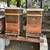 Beehives for Sale - Full Producing Hives 2 thumbnail