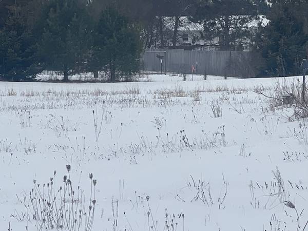 $28,000 Discover your perfect piece of land! 895 W. Moore Street (Mecosta)63793453398145123