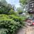 LARGE FOUR BED DUPLEX WITH BACKYARD + LAUNDRY ~ RENT STABILIZED!! 9 thumbnail