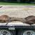 1995 Chaperel 3 Horse Slant Trailer with Saddle & a lot of Tack 16 thumbnail