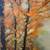 Oil Painting – Autumn Landscape by Helen Sweitzer 3 thumbnail