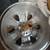1999-2004 HONDA ODYSSEY Aluminium 16" Factory OEM Wheel Rim 3 thumbnail