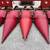 CASE IH 3208 10 thumbnail