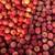 Deer Apples 25# Bags 4 thumbnail