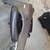 Mitsubishi Lancer fender 2 thumbnail