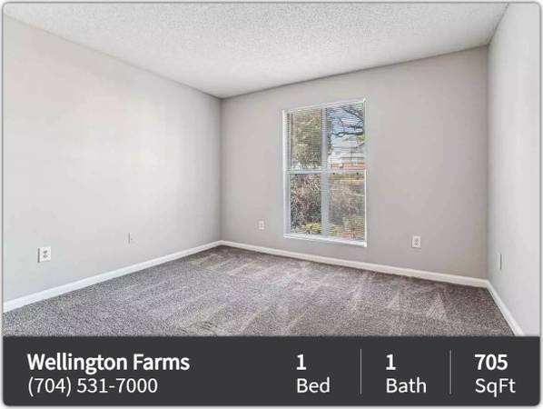 $1,155 / 1br - 705ft2 - Snuggle up with FIDO in our charming 1 bd, 1 ba! We're pet-friendly! (Charlotte)63925334816259121