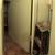 Vintage Frameless Beveled Wall Mirror 1 thumbnail