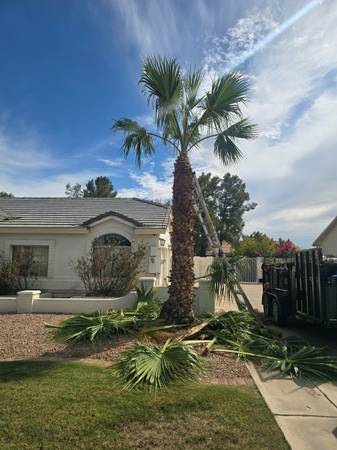 Landscape service 1