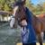Trail Mare Delux 2 thumbnail